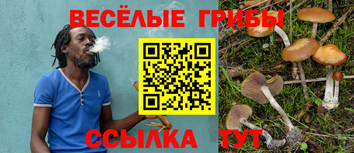 Псилоцибиновые грибы Cubensis  Вход с VPN  Галлюциногенные грибы Psilocybe  Михайловка 